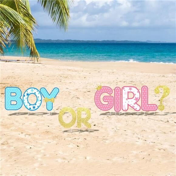 10 Pieces Gender Reveal Party Decorations Supplies Baby Shower Plastic Yard Sign - Picture 5 of 7